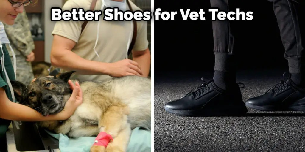 Better Shoes for Vet Techs