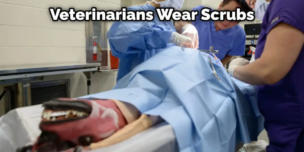 Veterinarians Wear Scrubs