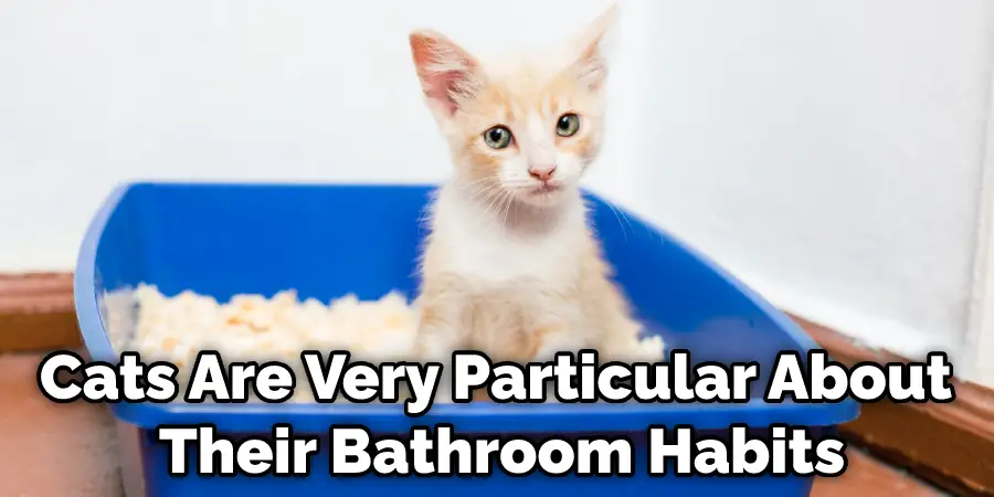 Cats Are Very Particular About Their Bathroom Habits