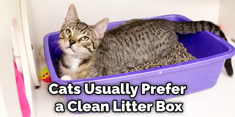 Cats Usually Prefer a Clean Litter Box