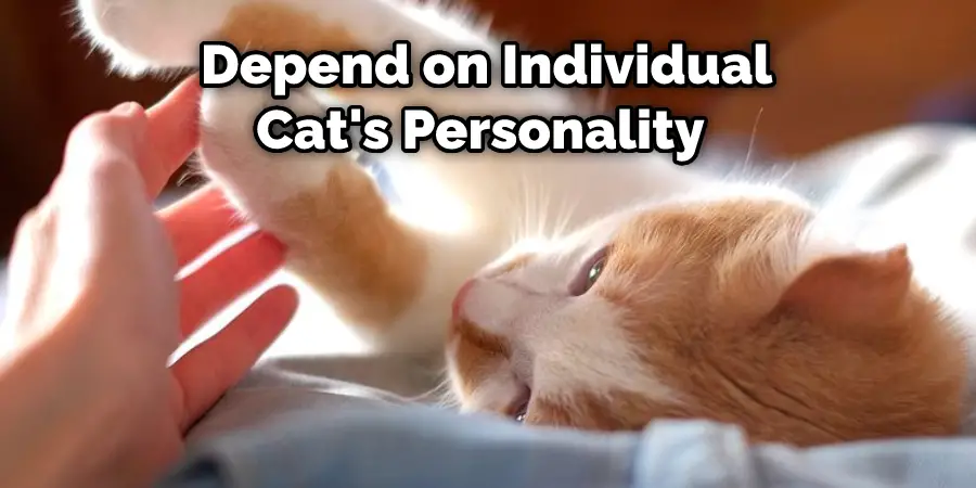  Depend on Individual Cat's Personality 