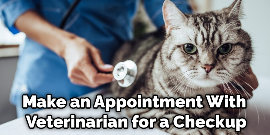 Make an Appointment With Veterinarian for a Checkup