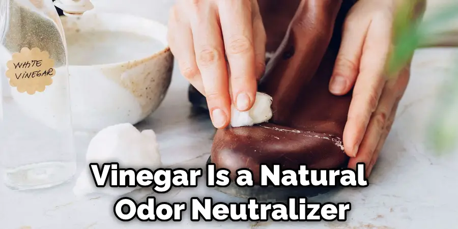 Vinegar Is a Natural Odor Neutralizer