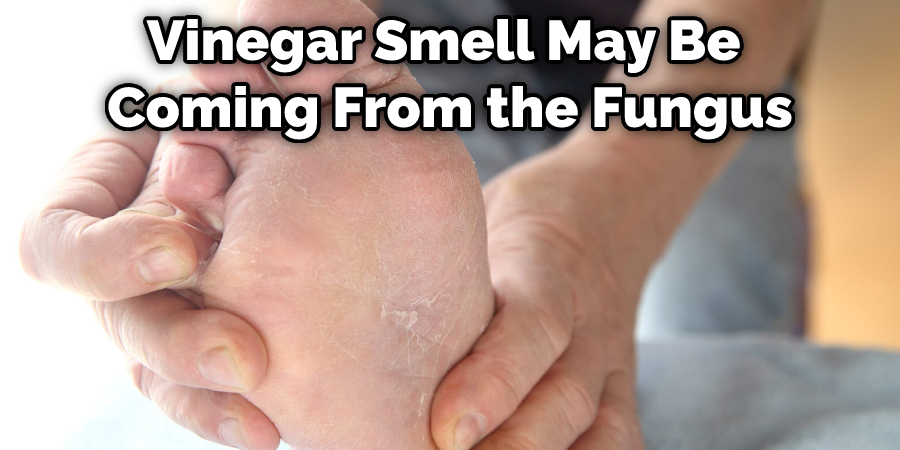 Vinegar Smell May Be Coming From the Fungus
