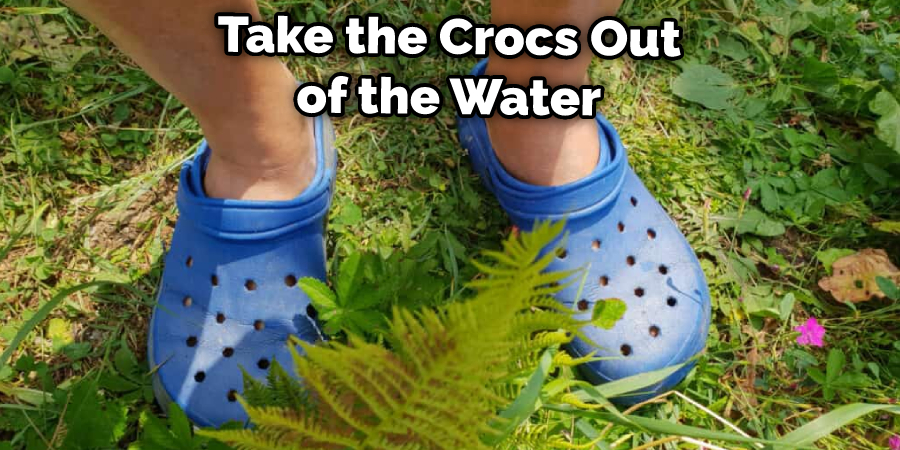 Take the Crocs Out of the Water