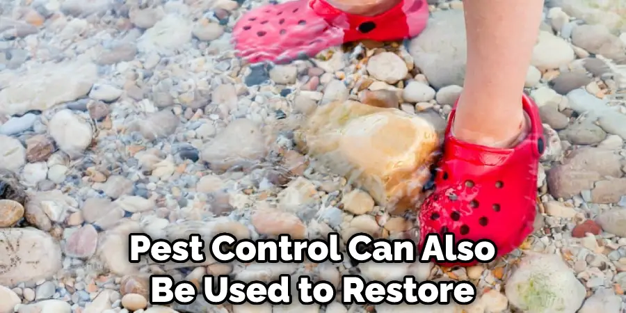 Pest Control Can Also Be Used to Restore