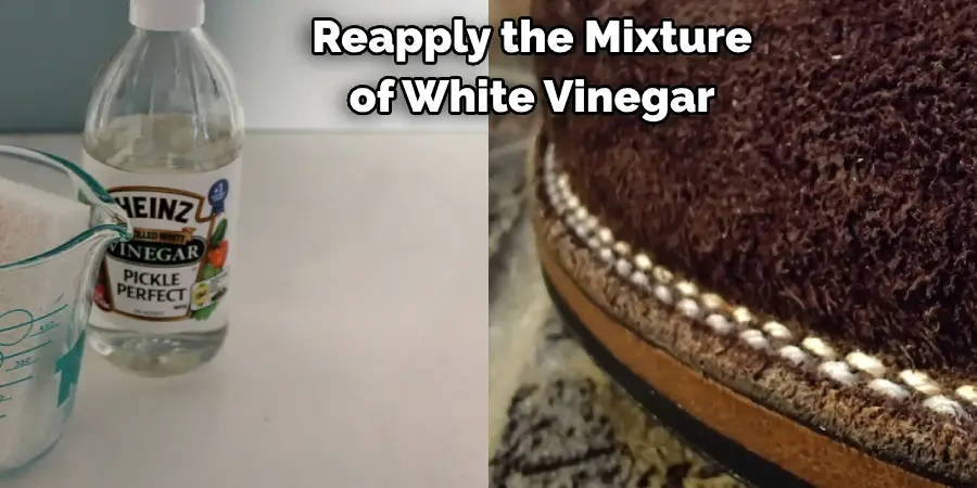 Reapply the Mixture of White Vinegar