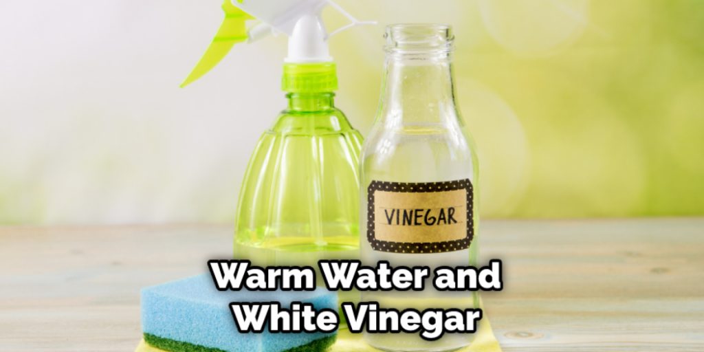 Warm Water and White Vinegar