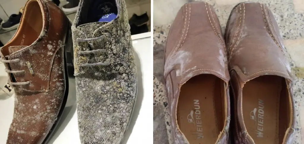 How to Disinfect Shoes From Fungus