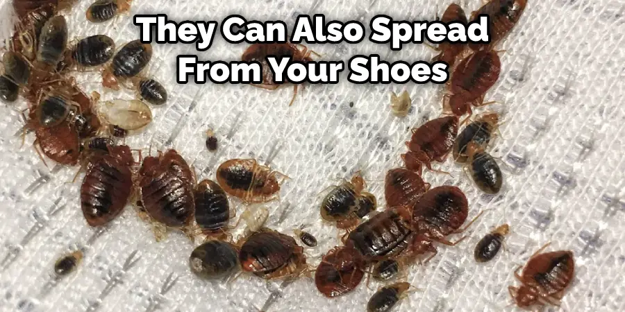 They Can Also Spread From Your Shoes