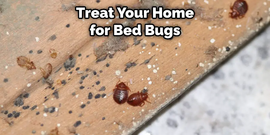 Treat Your Home for Bed Bugs