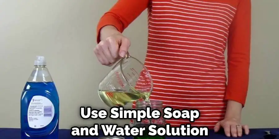 Use Simple Soap and Water Solution