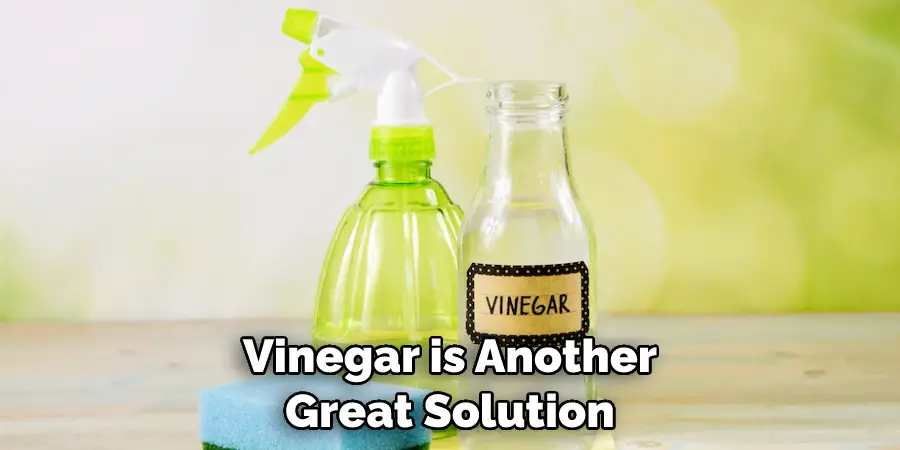Vinegar is Another Great Solution