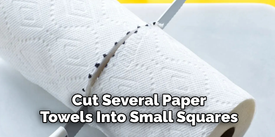 Cut Several Paper 
Towels Into Small Squares