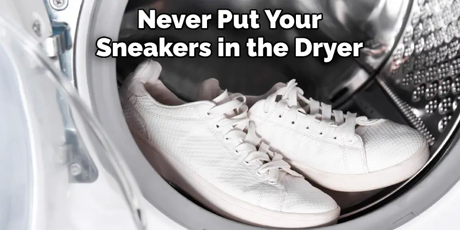 Never Put Your 
Sneakers in the Dryer