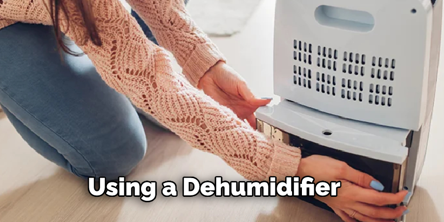 Using a Dehumidifier