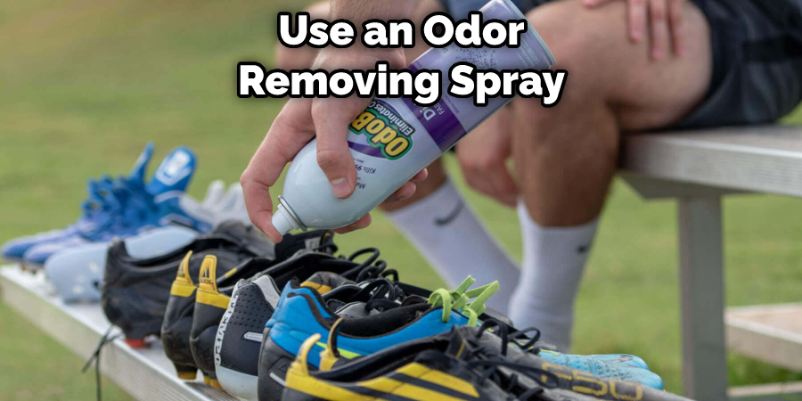 Use an Odor-removing Spray
