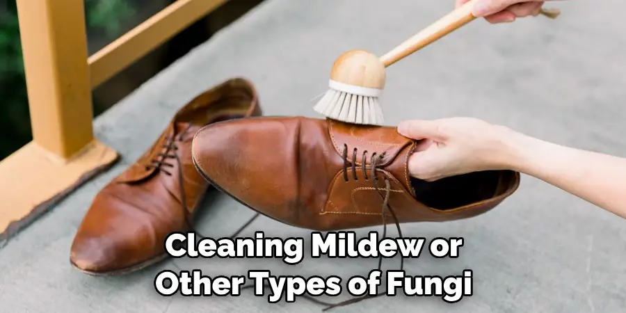 Cleaning Mildew or Other Types of Fungi
