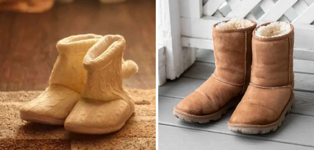 How to Get Dog Pee Out of Ugg Boots