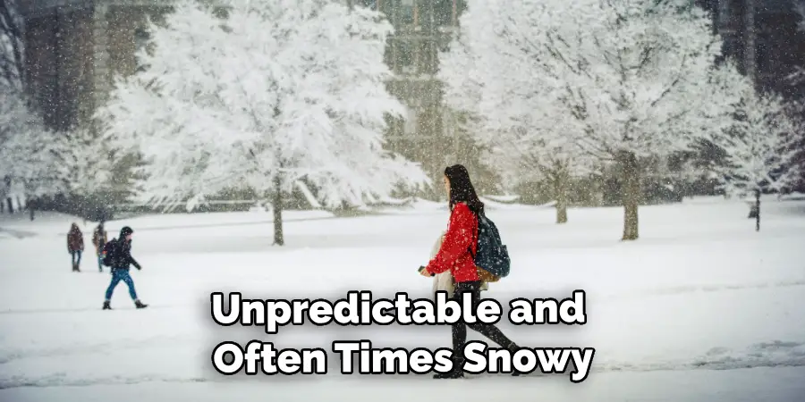 Unpredictable and Often Times Snowy