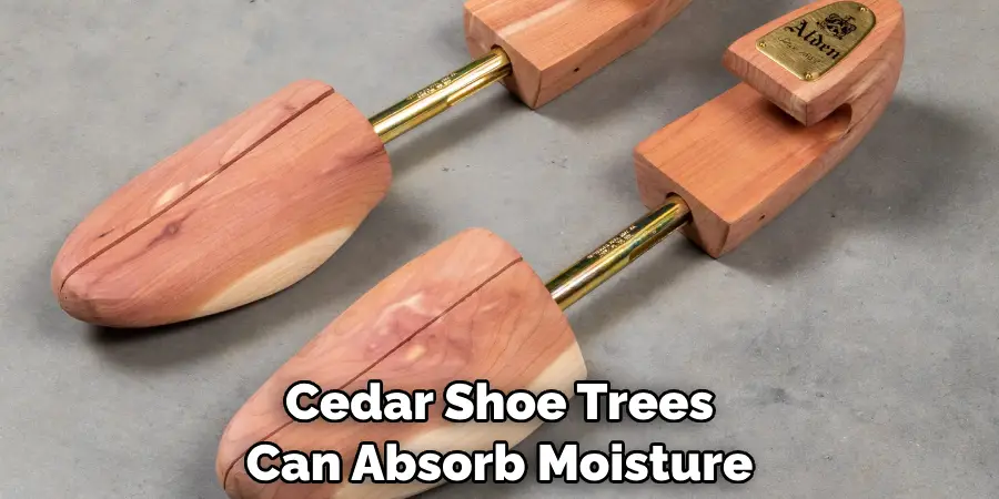 Cedar Shoe Trees Can Absorb Moisture