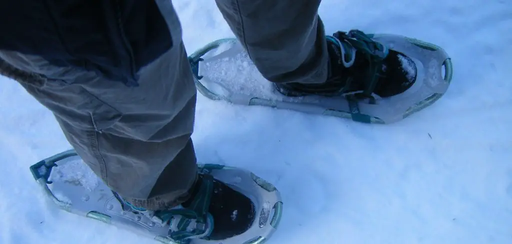 How to Walk in Snowshoes