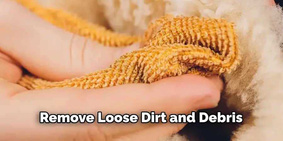 Remove Loose Dirt and Debris