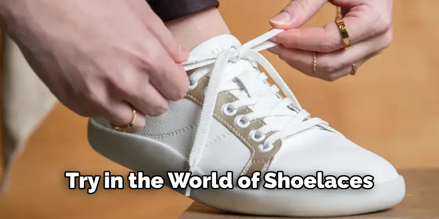 Try in the World of Shoelaces