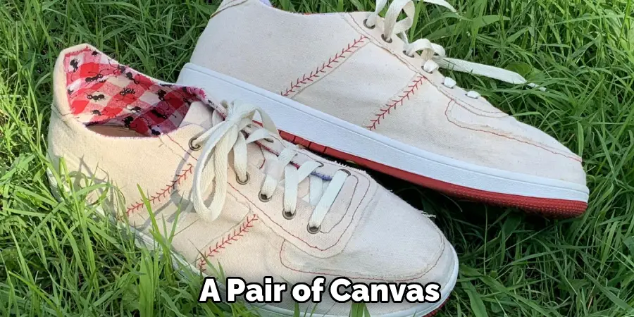 A Pair of Canvas
