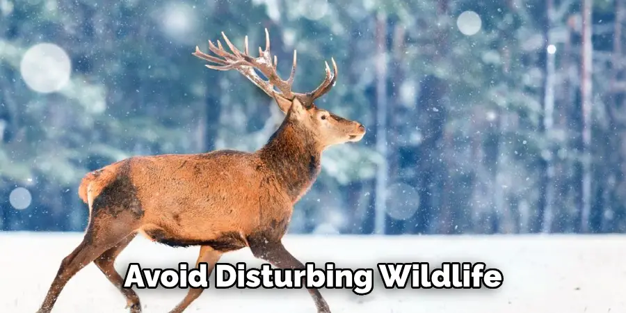 Avoid Disturbing Wildlife