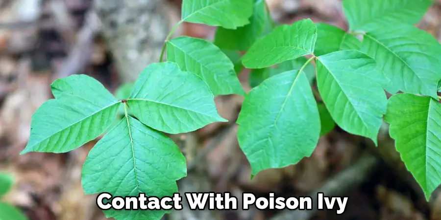 Contact With Poison Ivy