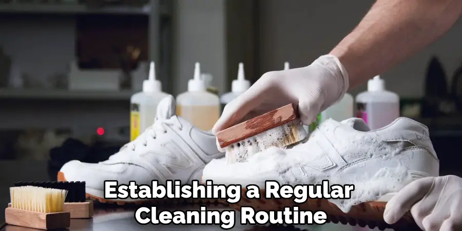 Establishing a Regular
Cleaning Routine
