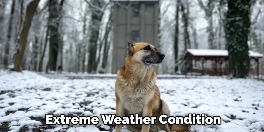 Extreme Weather Condition