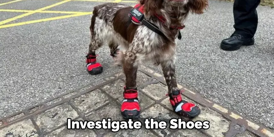 Investigate the Shoes