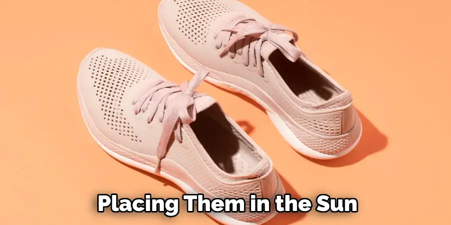 Placing Them in the Sun