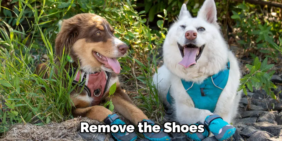 Remove the Shoes