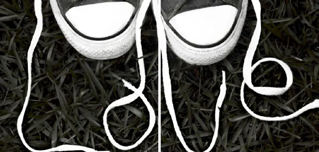 How to Get Out the Leashes on Your Shoes