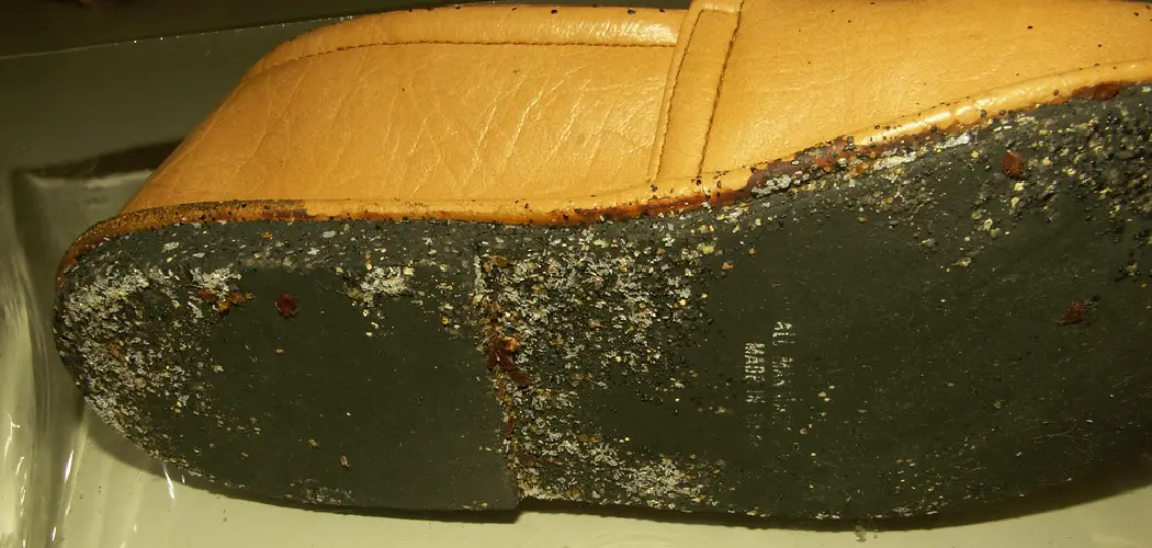How to Get Rid of Bed Bugs From Shoes