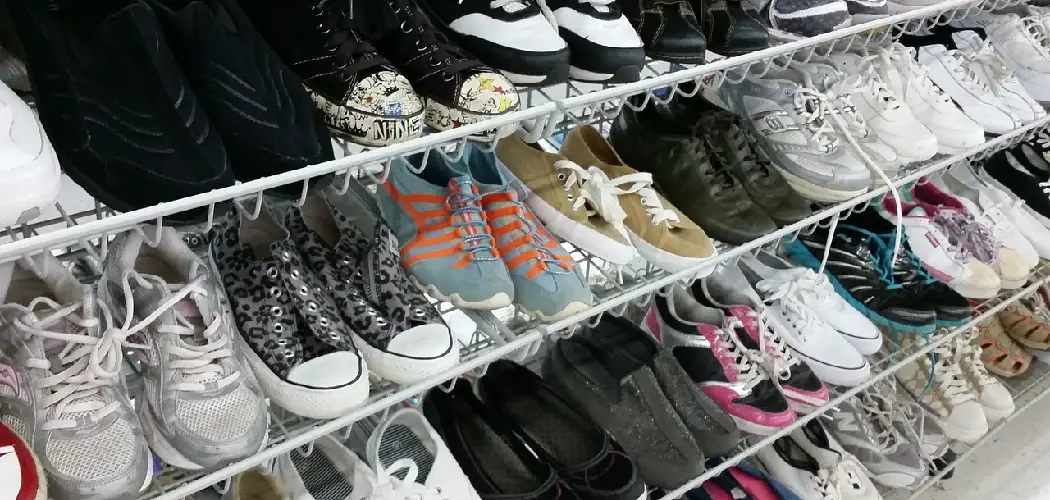 How to Store Shoes to Prevent Mold