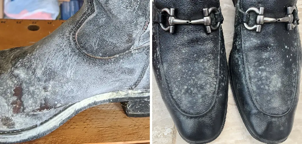 How to Clean Mold off Leather Boots