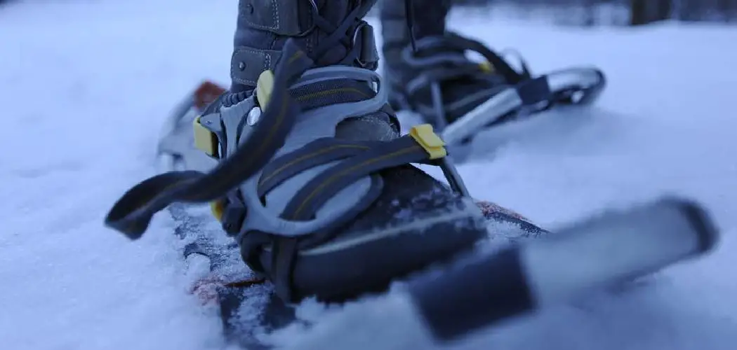 How to Use Snowshoes