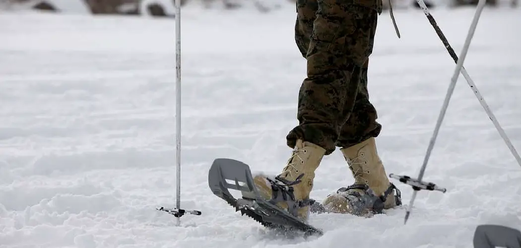How Do Snowshoes Work