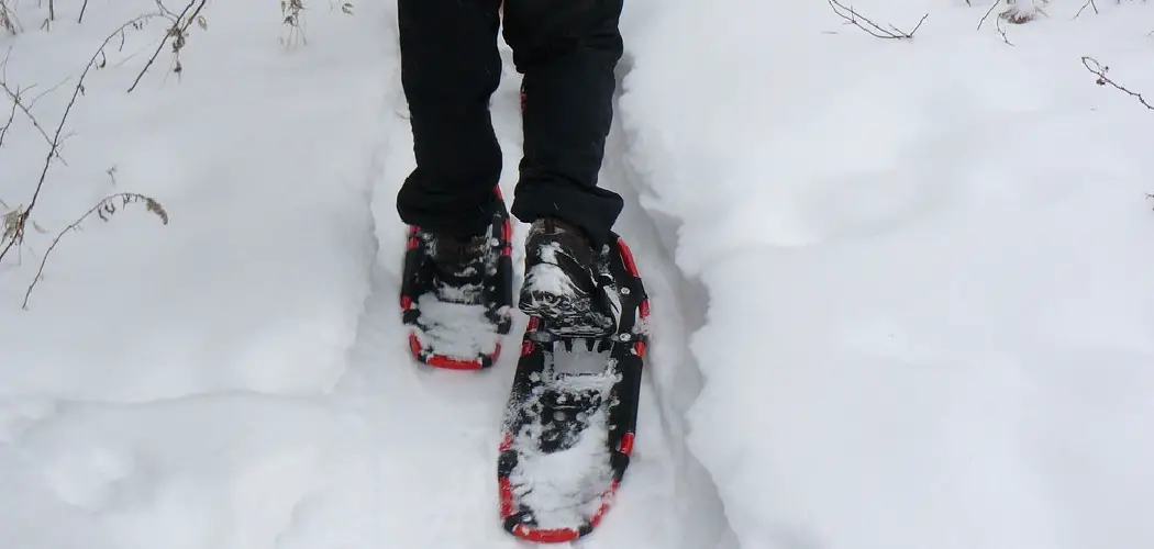 How to Make Snowshoes